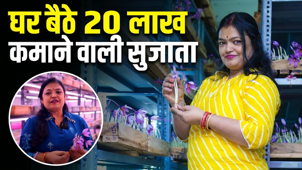 Success Story: कोविड में सब कुछ हुआ बंद, महिला को इंटरनेट से मिला ऐसा आइडिया, घर बैठे कमा रहीं 20 लाख