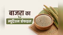 Poshan Patri/Nutrient Check: बाजरा का न्यूट्रिशन प्रोफाइल, 100 ग्राम में कितनी कैलोरी और पोषक तत्व