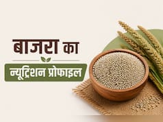 Poshan Patri/Nutrient Check: बाजरा का न्यूट्रिशन प्रोफाइल, 100 ग्राम में कितनी कैलोरी और पोषक तत्व