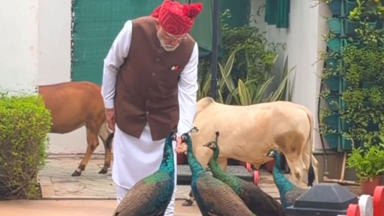स्&zwj;वतंत्रता द&zwj;िवस पर लाल क&zwj;िले पर जाने से पहले पीएम मोदी से म&zwj;िलने पहुंचे ये खास 'दोस्&zwj;त', VIDEO क&zwj;िया शेयर