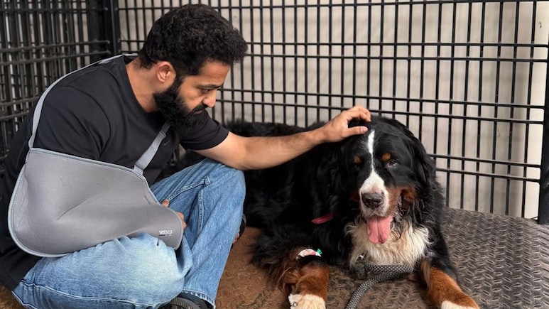 साउथ सुपरस्टार Jr NTR के घर टूटा दुखों का पहाड़, इंस्टाग्राम पर शेयर किया इमोशनल नोट