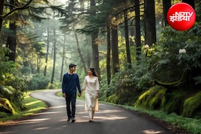Delhi से 6-7 घंटे की ड्राइव में पहुंचें Pangot, नैनीताल से भी शांत ये जगह है बर्डवॉचर्स का स्वर्ग