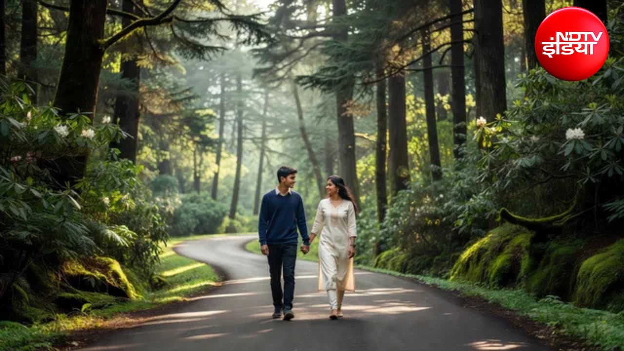 Delhi से 6-7 घंटे की ड्राइव में पहुंचें Pangot, नैनीताल से भी शांत ये जगह है बर्डवॉचर्स का स्वर्ग