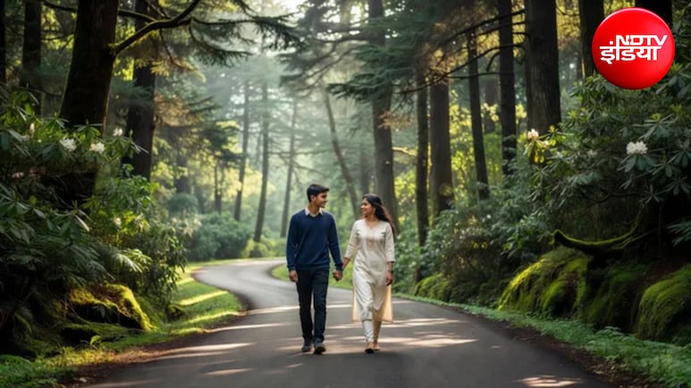 Delhi से 6-7 घंटे की ड्राइव में पहुंचें Pangot, नैनीताल से भी शांत ये जगह है बर्डवॉचर्स का स्वर्ग