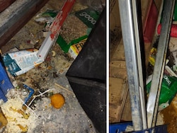 "Extremely Unhygienic": Raid Exposes Filth In Zepto's Bengaluru Warehouse