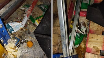 'Extremely Unhygienic': Raid Exposes Filth In Zepto's Bengaluru Warehouse