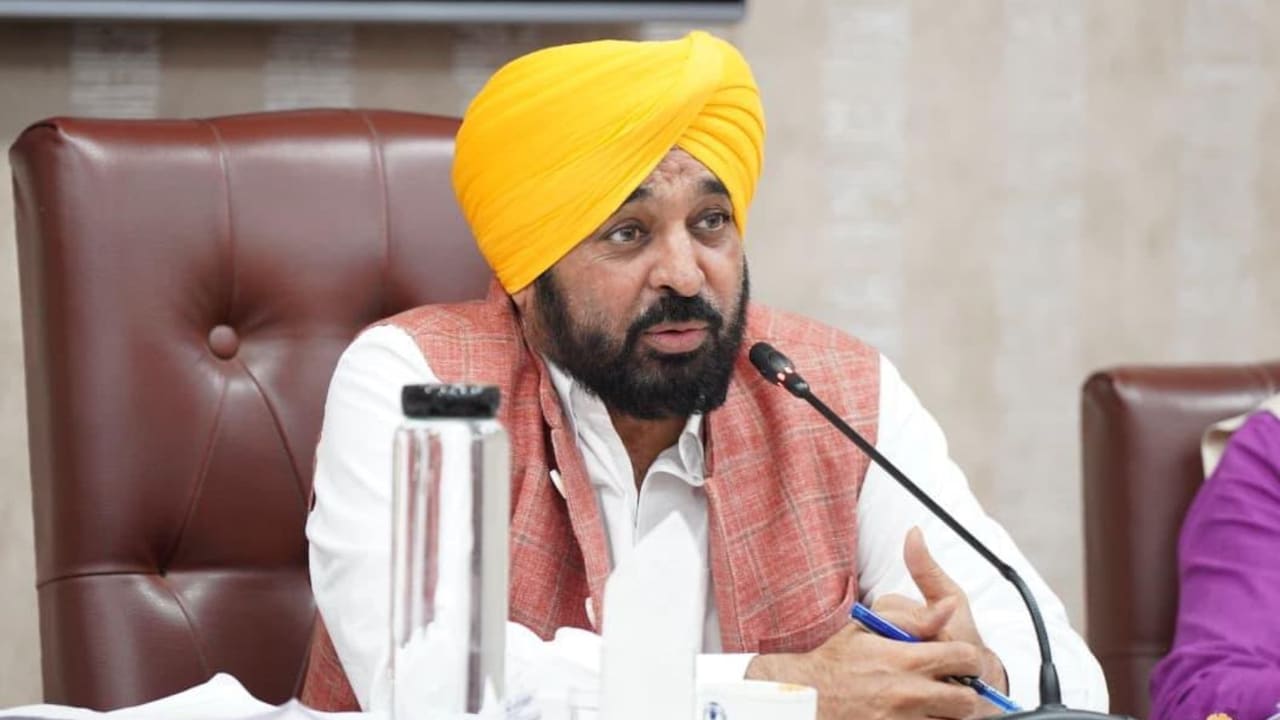 पंजाब: घर में लगा पेड़ काटना पड़ेगा भारी, लगेगा 50 हजार रुपये तक का जुर्माना; जानिए नए नियम