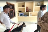 गुना में बड़ी डकैती: 2 किलो सोना, 1 किलो चांदी और 12 लाख कैश ले उड़े बदमाश,पारदी गिरोह पर शक