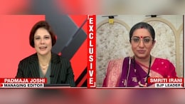 "Machiavellian Playbook Was Very Obvious": Smriti Irani on Jantar Mantar Protest