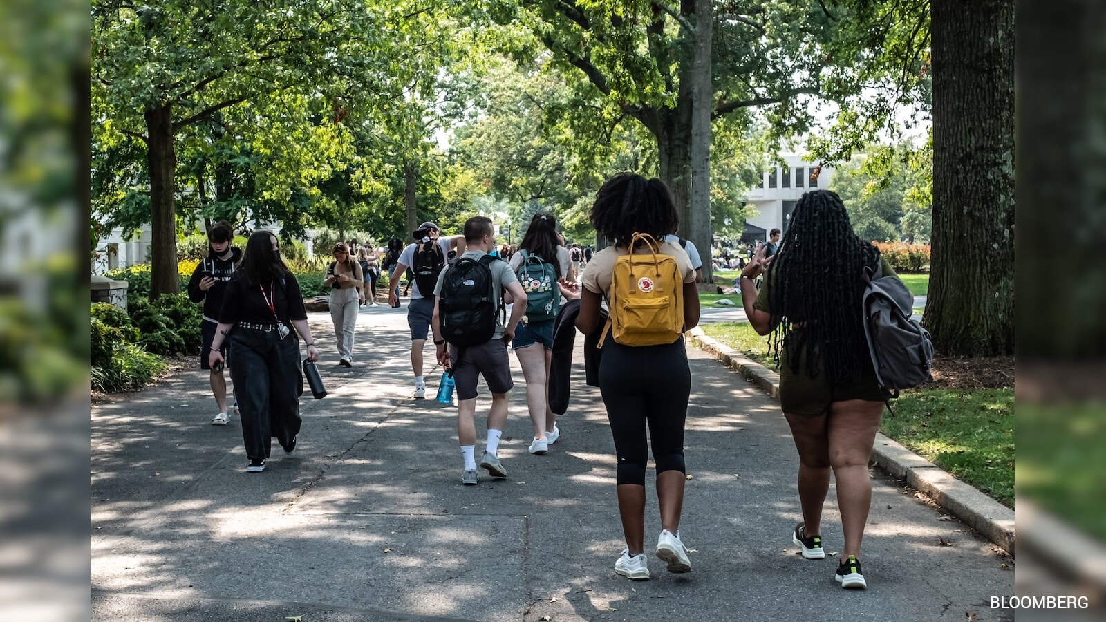 International Student Applications to US Colleges Drop 10% Amid Visa Rule Changes
