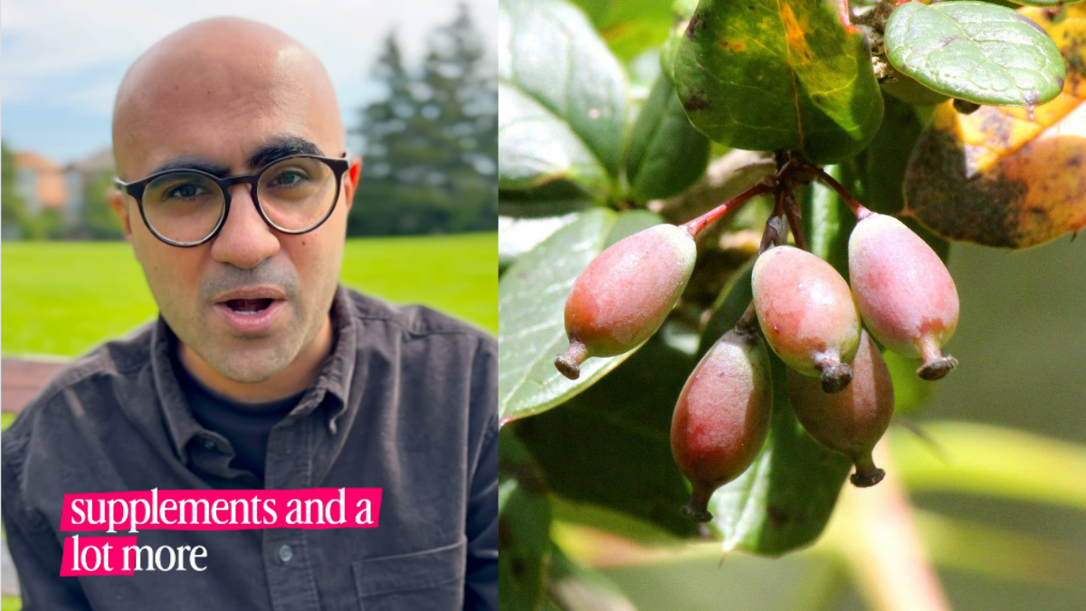 Called 'Nature's Ozempic', This Ancient Ayurvedic Ingredient Is Now Everywhere