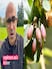 Called 'Nature's Ozempic', This Ancient Ayurvedic Ingredient Is Now Everywhere