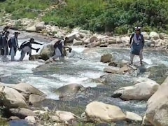 शिक्षा की ऐसी ललक, उफनती नदी पार कर स्कूल जाने को मजबूर बच्चे, 1 साल पहले बारिश में बहा था पुल