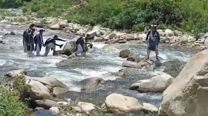 शिक्षा की ऐसी ललक, उफनती नदी पार कर स्कूल जाने को मजबूर बच्चे, 1 साल पहले बारिश में बहा था पुल