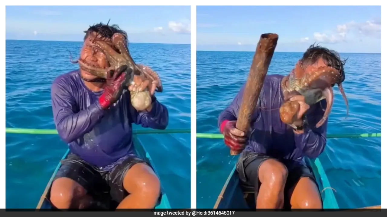 Terrifying Video Shows Octopus Latching Onto Fisherman's Face As He Struggles To Free Himself