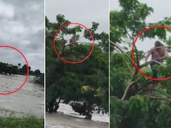 चारों तरफ पानी और पेड़ पर फंसा शख्स... जलगांव में बारिश के बाद नदी के जलस्तर ने बढ़ाई मुश्किलें