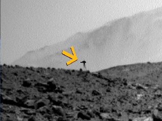 NASA के रोवर को मंगल पर दिखा जैली फिश जैसा जीव! फोटो ने खींचा ध्यान