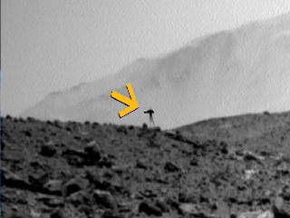 NASA के रोवर को मंगल पर दिखा जैली फिश जैसा जीव! फोटो ने खींचा ध्यान