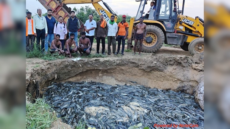 11 Ponds Raided, 36 Tonnes Of Banned Thai Mangur Destroyed In Nagpur