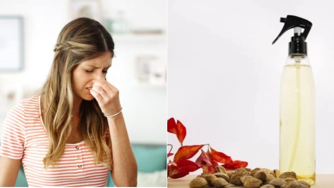DIY Room Freshener: बाहर से आते ही घर से आती है अजीब सी बदबू? 5 मिनट में बना लें ये रूम फ्रेशनर, पूरे दिन घर महकता रहेगा