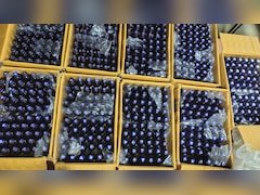 Mumbai Drug Bust: 15,000+ Codeine Bottles, 1 Kg Charas Seized; Two Held