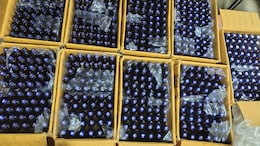 Over 15,000 Codeine Syrup Bottles, 1 kg Charas Seized In Mumbai, 2 Arrested