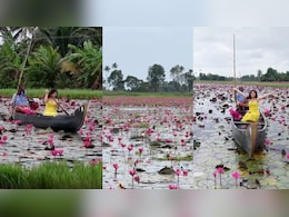 This Hidden Kerala Village Turns Into A Stunning Pink Lily Wonderland Every Monsoon