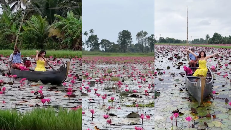 This Hidden Kerala Village Turns Into A Stunning Pink Lily Wonderland Every Monsoon