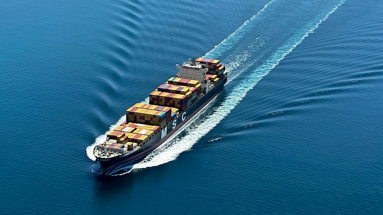 Panama-Flagged Cargo Ship Sinks In Bay of Bengal Off Odisha Coast