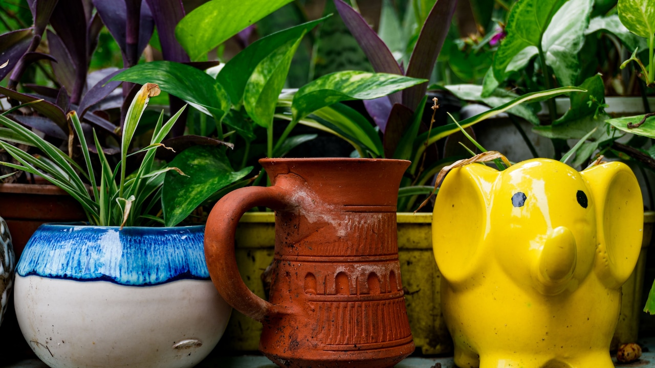 10 Reasons Self-Watering Planters Keep Soil Too Wet And How To Fix It 10 Reasons Self-Watering Planters Keep Soil Too Wet And How To Fix It