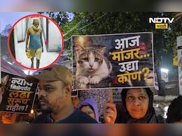 Ambernath News: मांजरीला न्याय मिळवून देण्यासाठी प्राणीप्रेमी रस्त्यावर, पहाटे काय घडलं होतं तिच्यासोबत?
