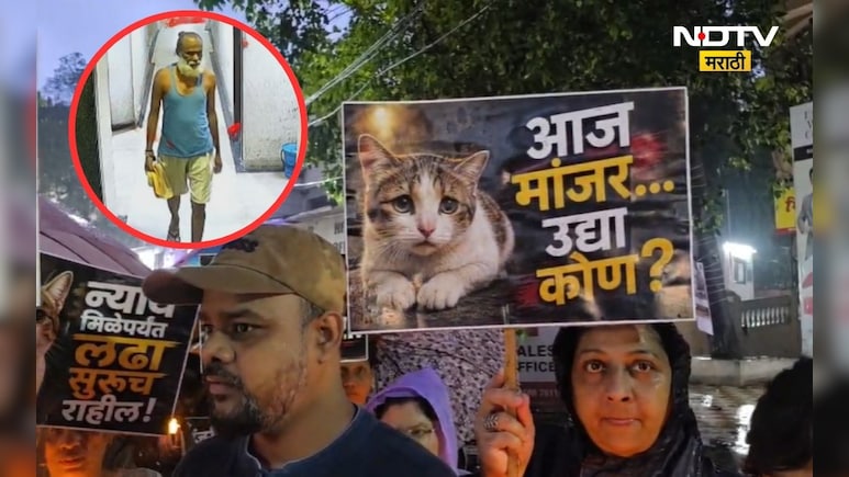 Ambernath News: मांजरीला न्याय मिळवून देण्यासाठी प्राणीप्रेमी रस्त्यावर, पहाटे काय घडलं होतं तिच्यासोबत?