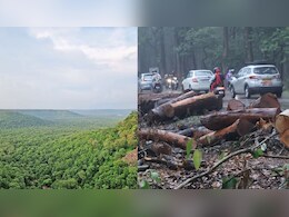 रेल परियोजना के लिए 1.40 लाख पेड़ों पर चलेगी आरी, MP में घने जंगलों से गुजरेगा महू-खंडवा रेल मार्ग
