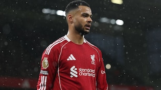 Virgil Van Dijk Wants Cody Gakpo To Stay At Liverpool Amid Manchester City Interest