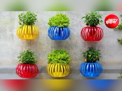 DIY Vertical Garden: प्लास्टिक की बोतलों से बनाएं लालटेन जैसे प्लांटर्स, घर की खाली दीवार पर उगाएं धनिया, लेट्यूस और हरी मिर्च