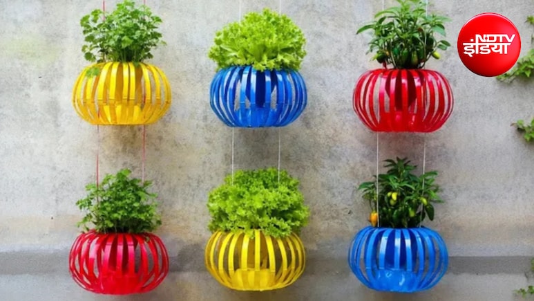 DIY Vertical Garden: प्लास्टिक की बोतलों से बनाएं लालटेन जैसे प्लांटर्स, घर की खाली दीवार पर उगाएं धनिया, लेट्यूस और हरी मिर्च