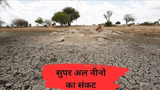 मॉनसून की बारिश को सोख रहा अल नीनो, 100 सालों का रिकॉर्ड टूटेगा, धान ही नहीं, गेहूं-गन्ने से सरसों तक असर