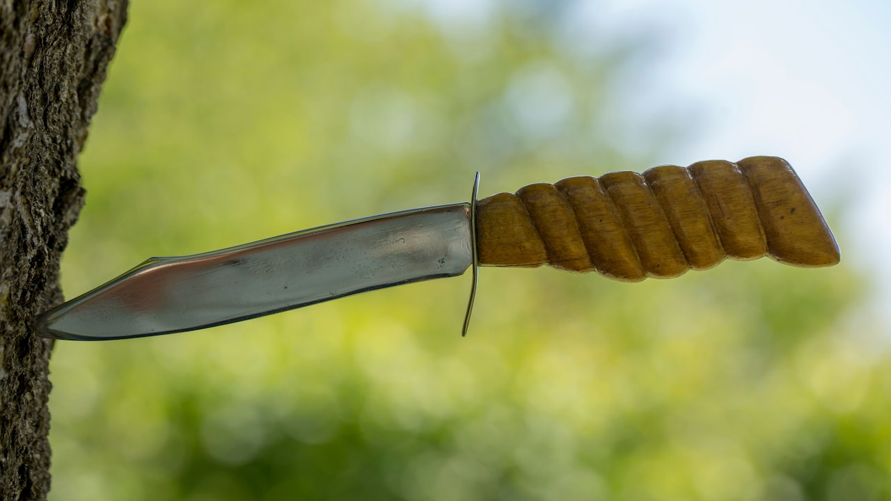 Can Ceramic Knives Cut Everything? 10 Kitchen-Knife Myths That Can Ruin The Blade Can Ceramic Knives Cut Everything? 10 Kitchen-Knife Myths That Can Ruin The Blade