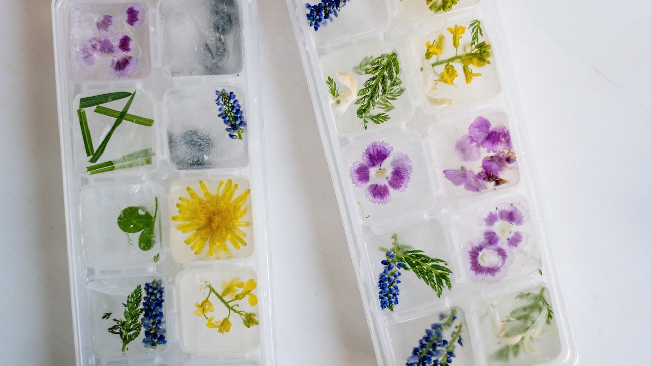 10 Reasons Ice Cubes Absorb Freezer Odours And How To Keep Them Fresh 10 Reasons Ice Cubes Absorb Freezer Odours And How To Keep Them Fresh