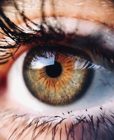 8 Foods That Improve Your Eyesight