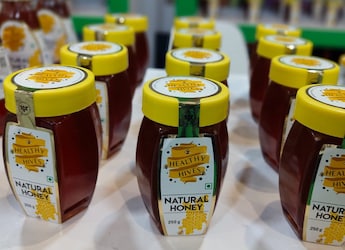 Tripura Exports 1 Tonne Of Mustard Honey To Dubai For The First Time