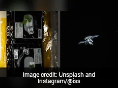 International Space Station Shares Details Of New Plants Sprouting In Space