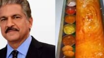 Anand Mahindra Is Tempted To Travel For This 'Bahubali Dosa'. See Location