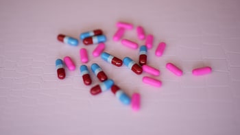 Alembic Pharma Q1 Result: Net Profit Jumps 12%, Revenue Surges 26%