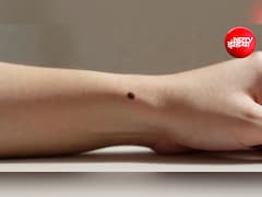 Palmistry: कलाई पर मणिबंध रेखा के पास तिल है तो क्या होता है? जानें धन, सफलता और भाग्य से जुड़ा संकेत