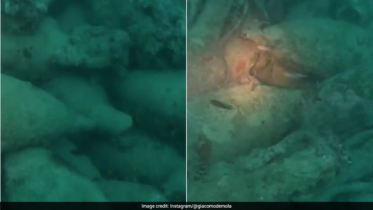 Ancient Roman Shipwreck Found Off Sicily Coast With Hundreds Of Well-Preserved Jars