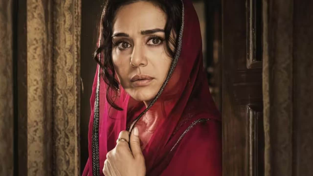 Preity Zinta Recalls Being Told To 'Cook, Clean And Stitch' For Batwara 1947: 'Women Had No Choice'