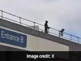 Man Dressed As 'Grim Reaper' Arrested After Scaring Patients And Doctors From Hospital Rooftop