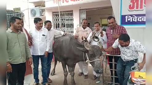 पार्षदों ने भैंस के आगे बजाई बीन, बोले- डबरा नगर परिषद में नहीं हो रहा काम, अब करेंगे आमरण अनशन