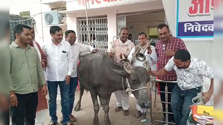 पार्षदों ने भैंस के आगे बजाई बीन, बोले- डबरा नगर परिषद में नहीं हो रहा काम, अब करेंगे आमरण अनशन